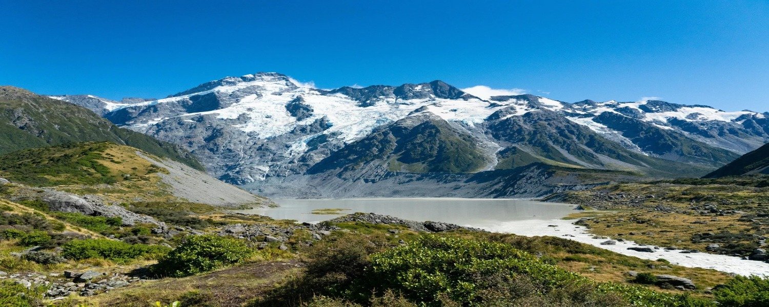 Thrilling New Zealand